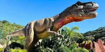 Grupo Oceanic amplia aposta em turismo de experiência e acelera expansão em Balneário Camboriú