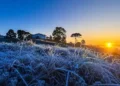 Santa Catarina registra -3,1°C e amanhece congelada com geada intensa
