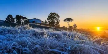 Santa Catarina registra -3,1°C e amanhece congelada com geada intensa