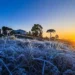 Santa Catarina registra -3,1°C e amanhece congelada com geada intensa