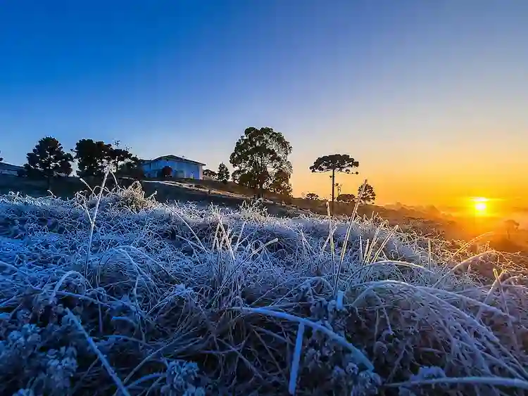 Santa Catarina registra -3,1°C e amanhece congelada com geada intensa