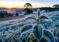 Frio intenso volta a atingir Santa Catarina e termômetros podem chegar a 0°C