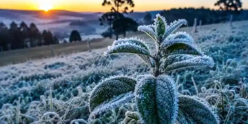 Frio intenso volta a atingir Santa Catarina e termômetros podem chegar a 0°C