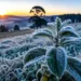 Frio intenso volta a atingir Santa Catarina e termômetros podem chegar a 0°C