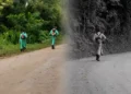 Blumenau coloca detentos para trabalhar na limpeza de ruas e espaços públicos