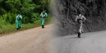 Blumenau coloca detentos para trabalhar na limpeza de ruas e espaços públicos
