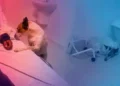 Cão acompanha dona por 12 horas em UPA de Balneário Camboriú e emociona
