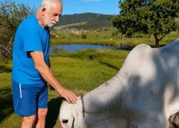 Descarga elétrica mata idoso na localidade do Braço, em Camboriú