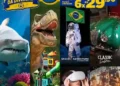 De olho no Hexa: campanha inspirada na Copa do Mundo oferece descontos em atrações de Balneário Camboriú