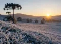 Frio histórico avança em Santa Catarina e pode levar termômetros a -5°C com geada generalizada