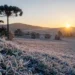 Frio histórico avança em Santa Catarina e pode levar termômetros a -5°C com geada generalizada