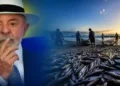 Pescadores Conseguem Reabertura da Pesca da Tainha em Santa Catarina