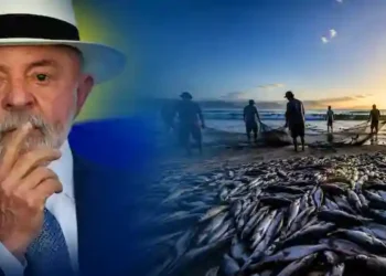 Pescadores Conseguem Reabertura da Pesca da Tainha em Santa Catarina