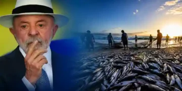 Pescadores Conseguem Reabertura da Pesca da Tainha em Santa Catarina