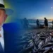 Pescadores Conseguem Reabertura da Pesca da Tainha em Santa Catarina