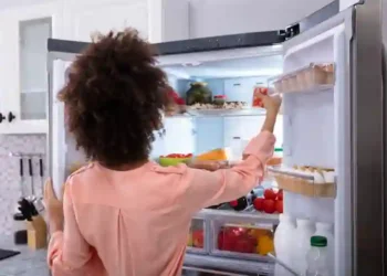 Brastemp e Consul vão recolher geladeiras antigas em casa e oferecer descontos na troca