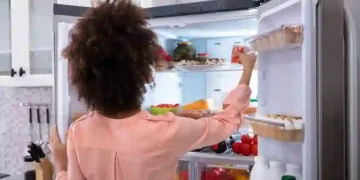 Brastemp e Consul vão recolher geladeiras antigas em casa e oferecer descontos na troca