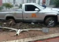 Motorista suspeito de embriaguez derruba poste após perder o controle na Estrada da Rainha, em Balneário Camboriú