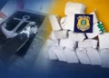 Maior apreensão de cocaína do ano em SC: PRF encontra quase meia tonelada na BR-101