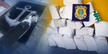 Maior apreensão de cocaína do ano em SC: PRF encontra quase meia tonelada na BR-101