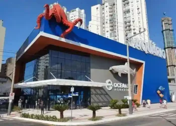 Grupo Oceanic celebra Dia do Corretor de Imóveis com entrada gratuita
