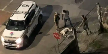 VÍDEO: Pitbull é morto a tiros após avançar contra policiais durante abordagem em Itajaí