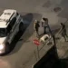 VÍDEO: Pitbull é morto a tiros após avançar contra policiais durante abordagem em Itajaí