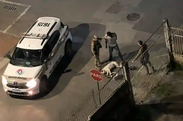 Pitbull é morto a tiros após avançar contra policiais durante abordagem em Itajaí