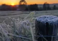 Prepare os casacos: frio de 0 °C e geada devem marcar o fim de semana em SC