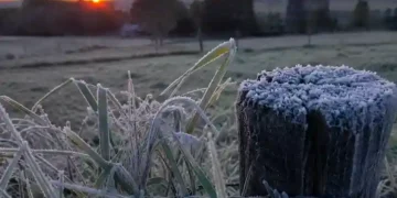 Prepare os casacos: frio de 0 °C e geada devem marcar o fim de semana em SC