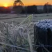 Prepare os casacos: frio de 0 °C e geada devem marcar o fim de semana em SC
