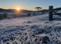 SC amanhece com -9,1°C, geada intensa e paisagens completamente brancas