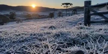 SC amanhece com -9,1°C, geada intensa e paisagens completamente brancas