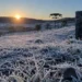 SC amanhece com -9,1°C, geada intensa e paisagens completamente brancas