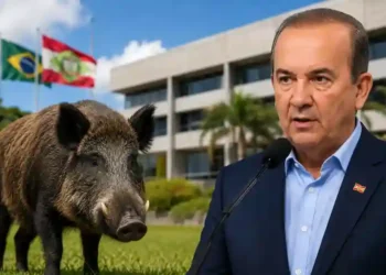Jorginho Mello barra projeto que previa pagamento de R$ 100 por javali abatido em Santa Catarina