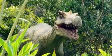 Fóssil de dinossauro que será devolvido ao Brasil tem réplica em parque de SC