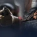 Senado analisa projeto que pode permitir porte de arma para mulheres com medida protetiva aos 18 anos