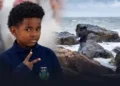 Menino de 10 anos é encontrado sem vida após quatro dias de buscas no mar de Balneário Piçarras