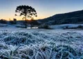 Frio intenso chega a Santa Catarina e previsão indica até -6°C no feriadão de Independência