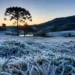 Frio intenso chega a Santa Catarina e previsão indica até -6°C no feriadão de Independência