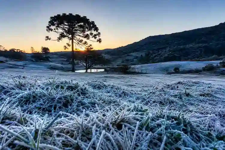 Frio intenso chega a Santa Catarina e previsão indica até -6°C no feriadão de Independência Frio intenso chega a Santa Catarina e previsão indica até -6°C no feriadão de Independência
