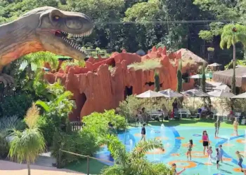 Grupo Oceanic recebe 35 mil visitas no feriadão em Balneário Camboriú