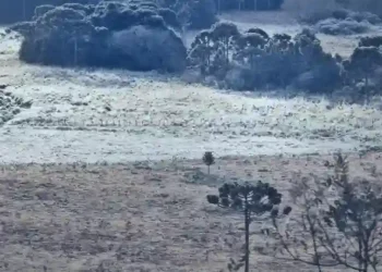 Santa Catarina amanhece congelada: Serra registra temperaturas de até -6,1°C