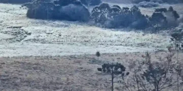 Santa Catarina amanhece congelada: Serra registra temperaturas de até -6,1°C