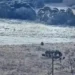 Santa Catarina amanhece congelada: Serra registra temperaturas de até -6,1°C