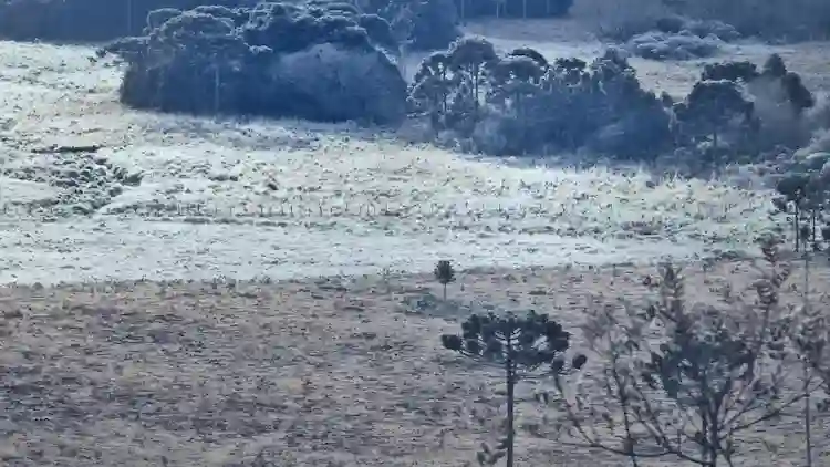 Santa Catarina amanhece congelada: Serra registra temperaturas de até -6,1°C
