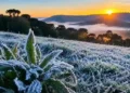 Serra catarinense registra -2°C e amanhece com paisagens congeladas na primavera