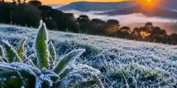 Serra catarinense registra -2°C e amanhece com paisagens congeladas na primavera