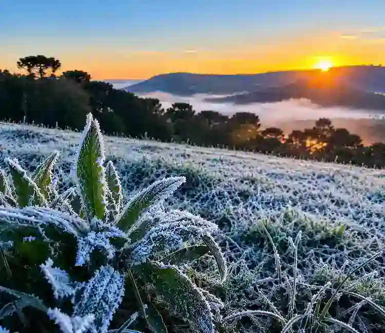 Serra catarinense amanhece com paisagens congeladas na primavera