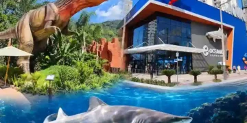 Votou, não paga! Oceanic Aquarium e Parque dos Dinossauros terão entrada gratuita neste domingo